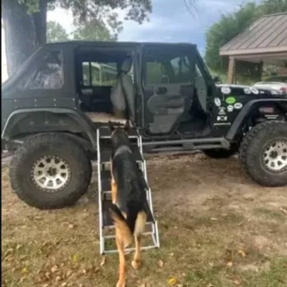 Car Dog Ramp “Tailgate” - Picture 3 of 3